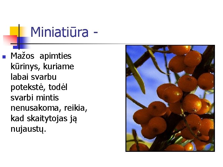 Miniatiūra n Mažos apimties kūrinys, kuriame labai svarbu potekstė, todėl svarbi mintis nenusakoma, reikia,