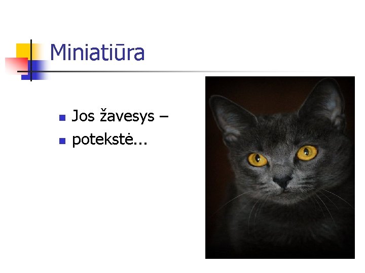 Miniatiūra n n Jos žavesys – potekstė. . . 