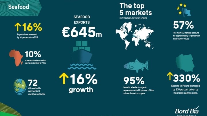 Growing the success of Irish food & horticulture 