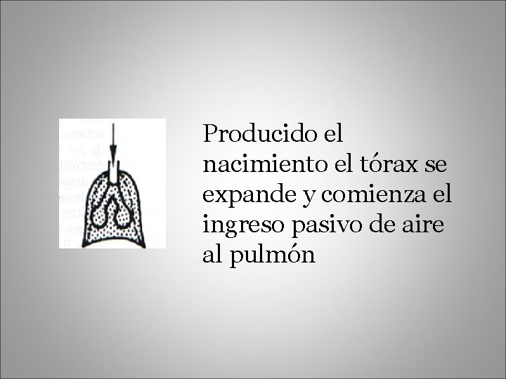 Producido el nacimiento el tórax se expande y comienza el ingreso pasivo de aire