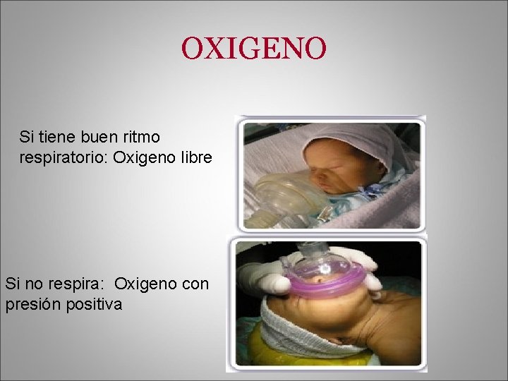 OXIGENO Si tiene buen ritmo respiratorio: Oxigeno libre Si no respira: Oxigeno con presión