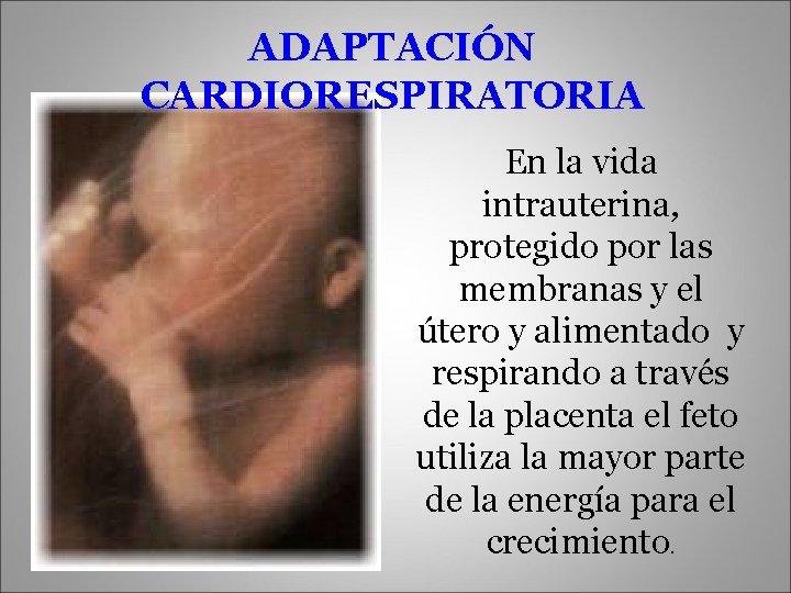 ADAPTACIÓN CARDIORESPIRATORIA En la vida intrauterina, protegido por las membranas y el útero y