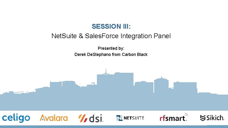 SESSION III: Net. Suite & Sales. Force Integration Panel Presented by: Derek De. Stephano