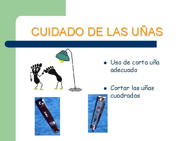 CUIDADO DE LAS UÑAS l l Uso de corta uña adecuado Cortar las uñas