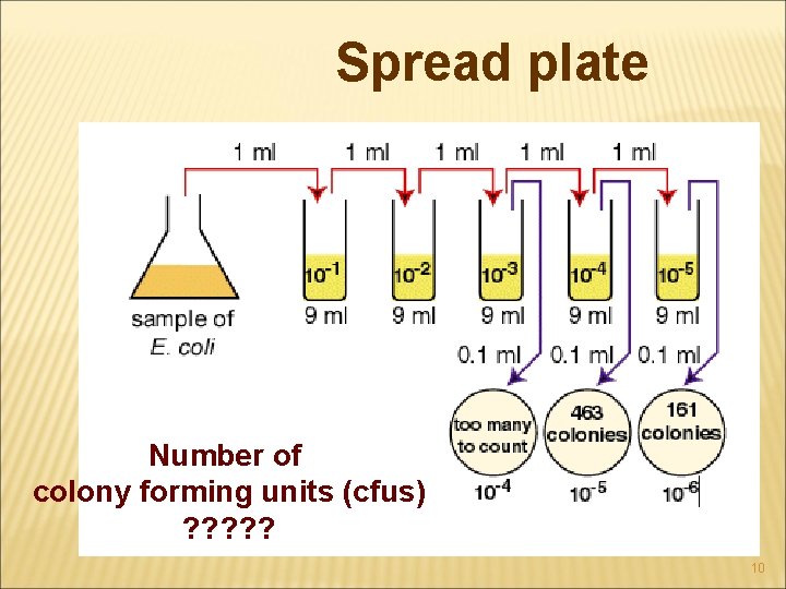 Spread plate Number of colony forming units (cfus) ? ? ? 10 