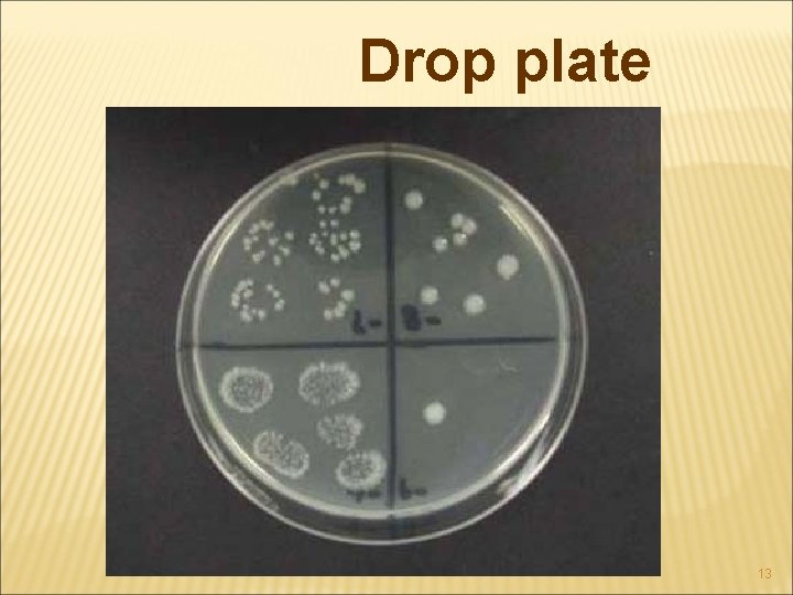 Drop plate 13 