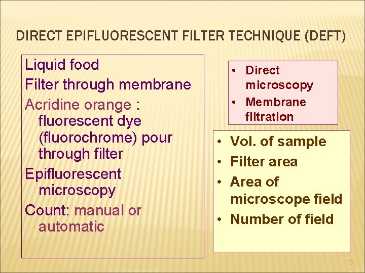 DIRECT EPIFLUORESCENT FILTER TECHNIQUE (DEFT) Liquid food Filter through membrane Acridine orange : fluorescent