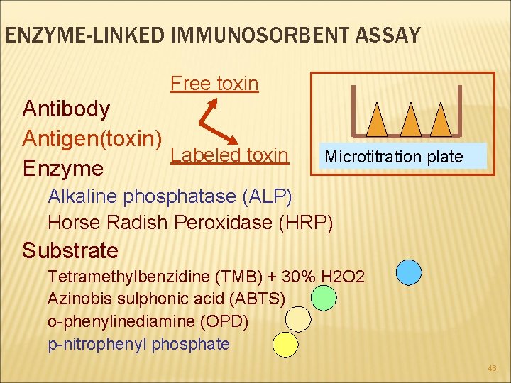 ENZYME-LINKED IMMUNOSORBENT ASSAY Free toxin Antibody Antigen(toxin) Labeled toxin Enzyme Microtitration plate Alkaline phosphatase