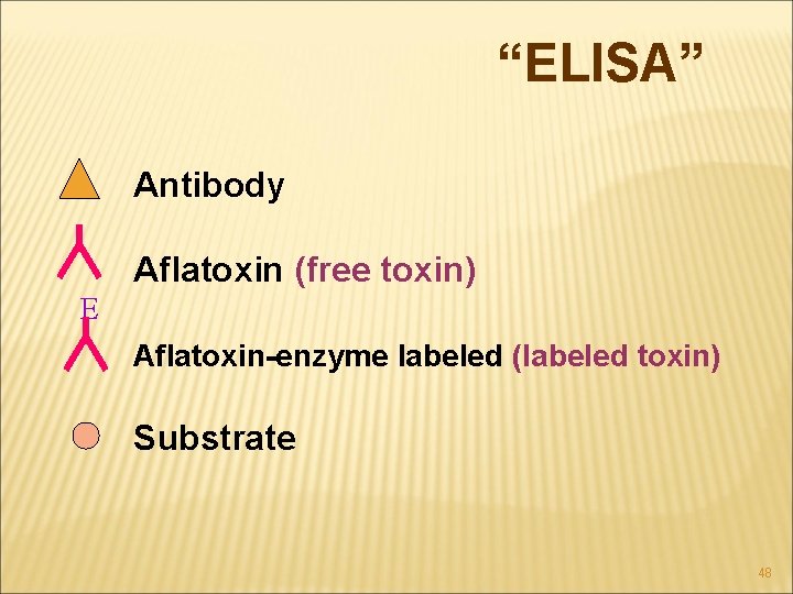 “ELISA” Antibody Aflatoxin (free toxin) E Aflatoxin-enzyme labeled (labeled toxin) Substrate 48 