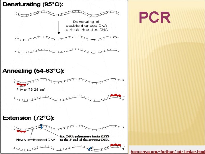 PCR 52 home. nvg. org/~forthun/ cdr-lenker. html 