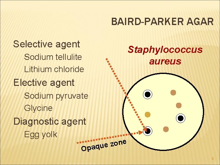 BAIRD-PARKER AGAR Selective agent Sodium tellulite Lithium chloride Staphylococcus aureus Elective agent Sodium pyruvate