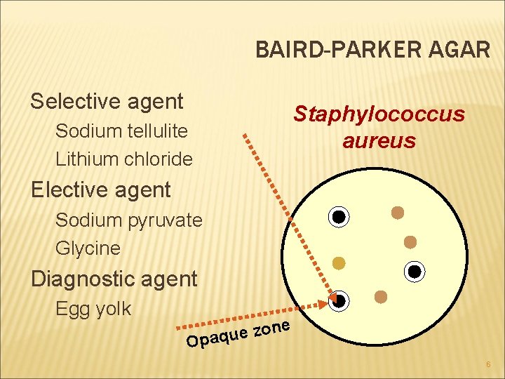 BAIRD-PARKER AGAR Selective agent Sodium tellulite Lithium chloride Staphylococcus aureus Elective agent Sodium pyruvate