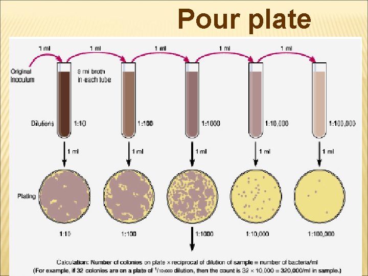 Pour plate 8 