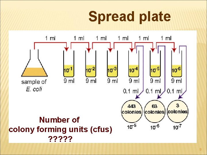 Spread plate Number of colony forming units (cfus) ? ? ? 9 