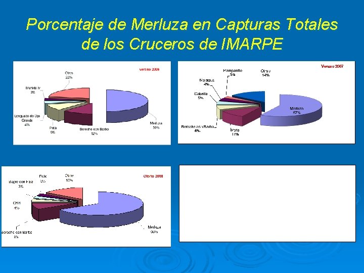 Porcentaje de Merluza en Capturas Totales de los Cruceros de IMARPE 