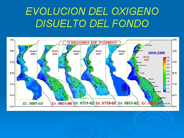 EVOLUCION DEL OXIGENO DISUELTO DEL FONDO Verano 2006 Otoño 2006 Verano 2007 Otoño 2007