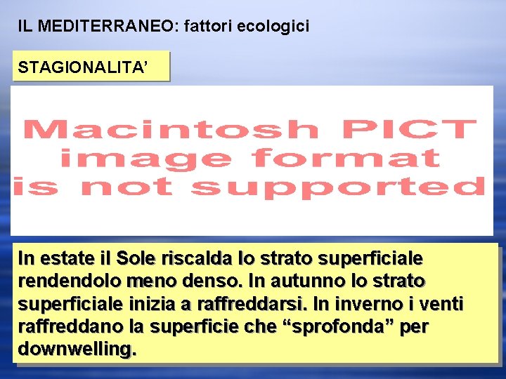 IL MEDITERRANEO: fattori ecologici STAGIONALITA’ In estate il Sole riscalda lo strato superficiale rendendolo