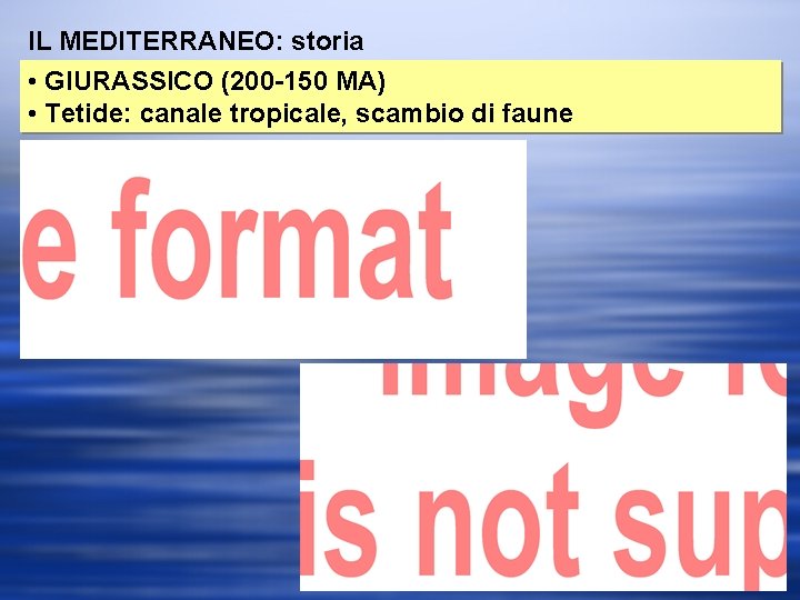 IL MEDITERRANEO: storia • GIURASSICO (200 -150 MA) • Tetide: canale tropicale, scambio di