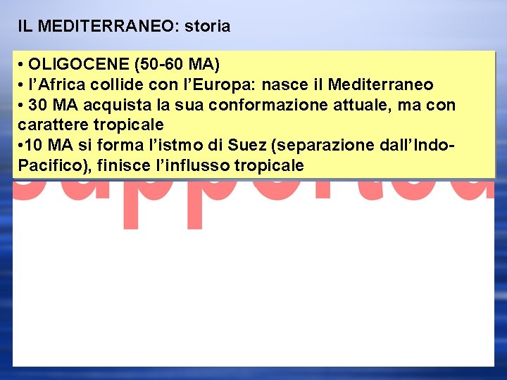 IL MEDITERRANEO: storia • OLIGOCENE (50 -60 MA) • l’Africa collide con l’Europa: nasce