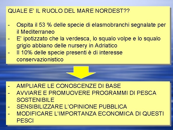 QUALE E’ IL RUOLO DEL MARE NORDEST? ? - - Ospita il 53 %