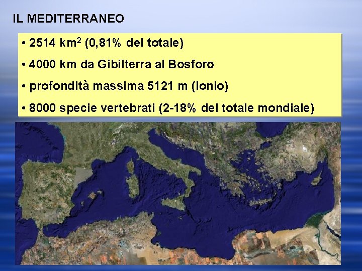 IL MEDITERRANEO • 2514 km 2 (0, 81% del totale) • 4000 km da