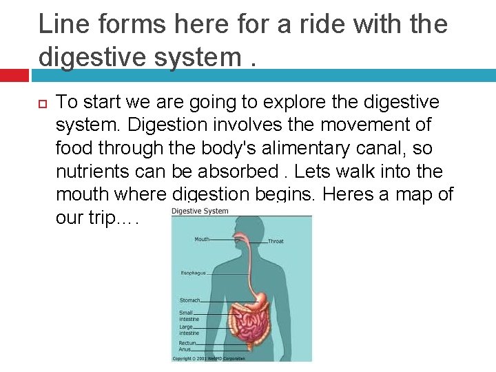 Line forms here for a ride with the digestive system. To start we are