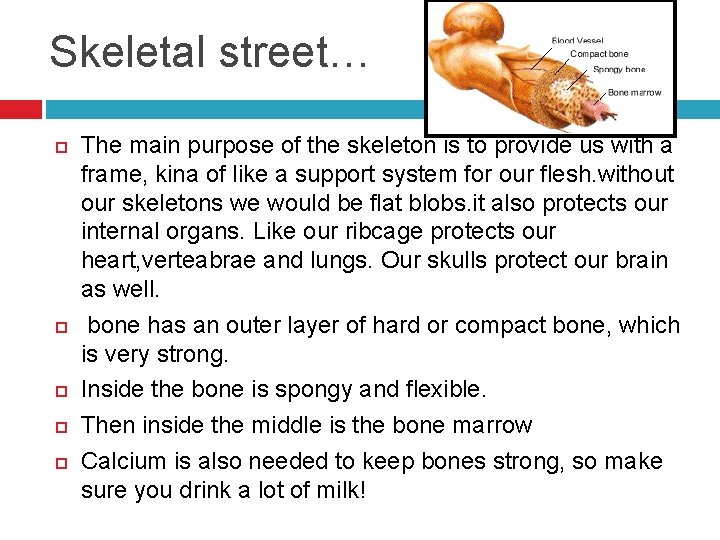 Skeletal street… The main purpose of the skeleton is to provide us with a