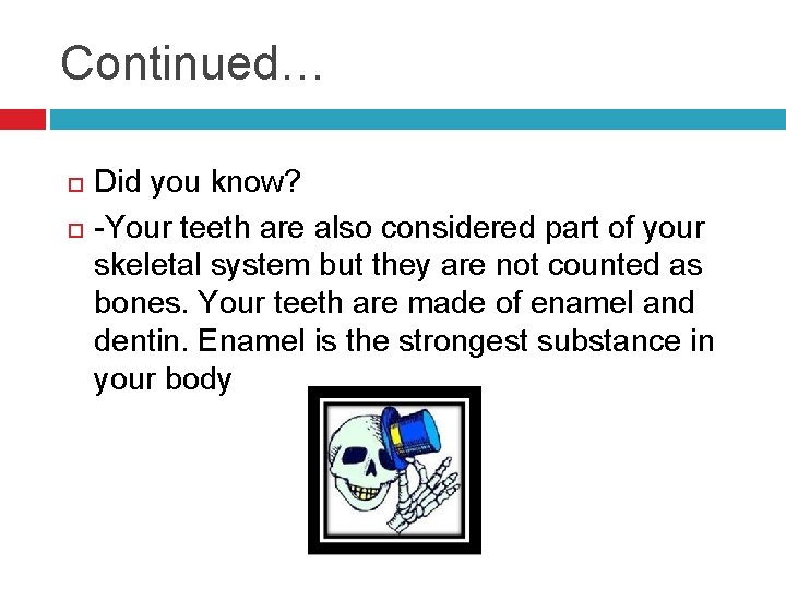 Continued… Did you know? -Your teeth are also considered part of your skeletal system