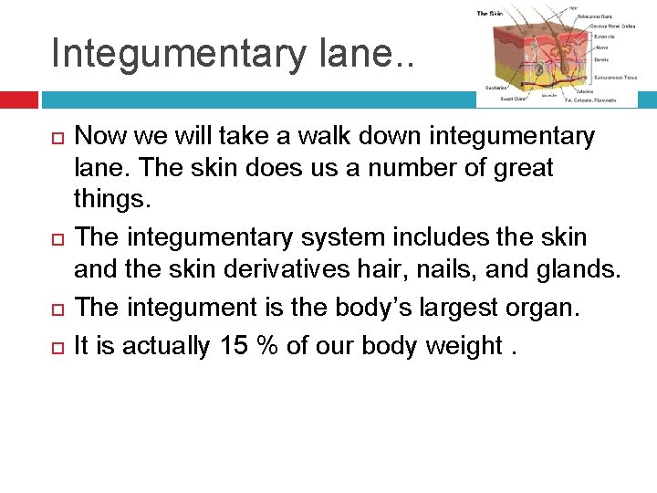 Integumentary lane. . Now we will take a walk down integumentary lane. The skin