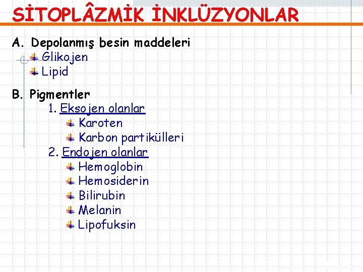 SİTOPL ZMİK İNKLÜZYONLAR A. Depolanmış besin maddeleri Glikojen Lipid B. Pigmentler 1. Eksojen olanlar