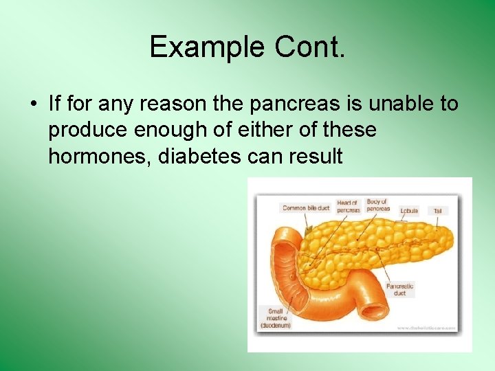 Example Cont. • If for any reason the pancreas is unable to produce enough