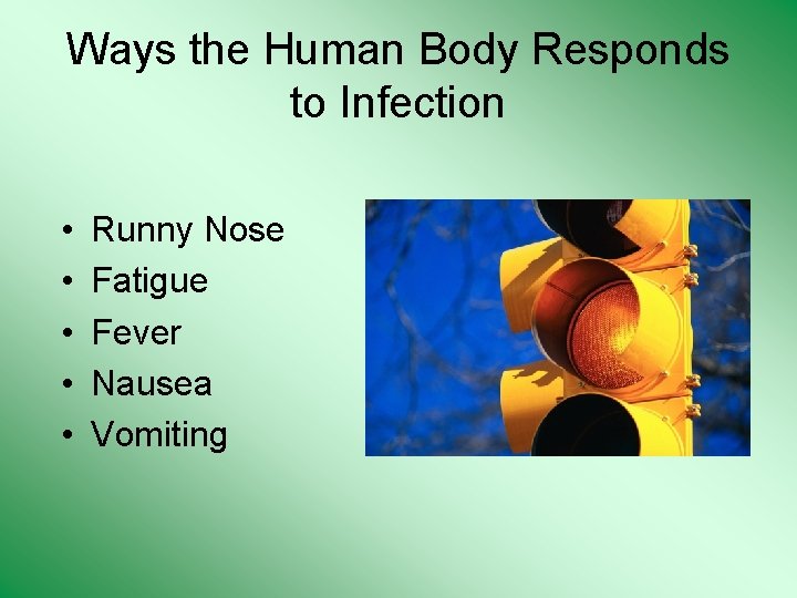 Ways the Human Body Responds to Infection • • • Runny Nose Fatigue Fever