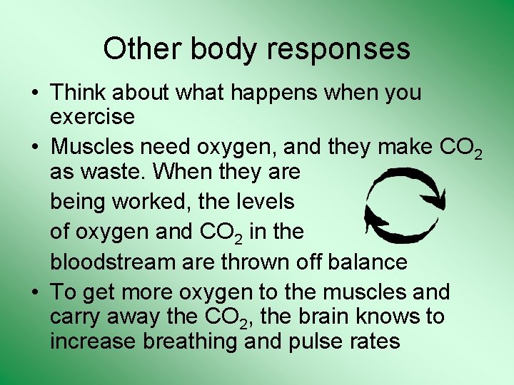 Other body responses • Think about what happens when you exercise • Muscles need