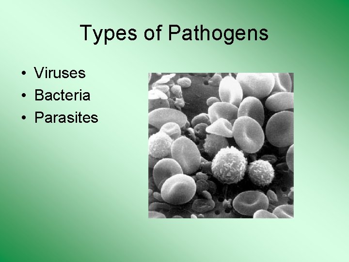 Types of Pathogens • Viruses • Bacteria • Parasites 