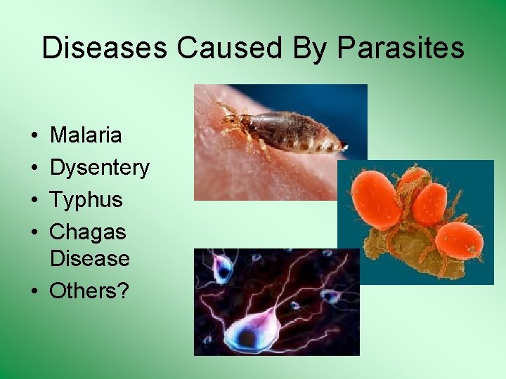 Diseases Caused By Parasites • • Malaria Dysentery Typhus Chagas Disease • Others? 