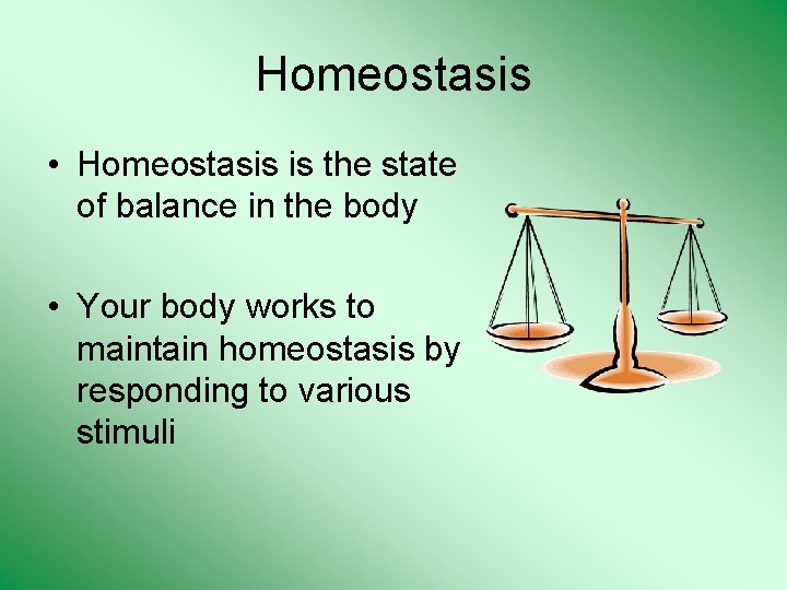 Homeostasis • Homeostasis is the state of balance in the body • Your body