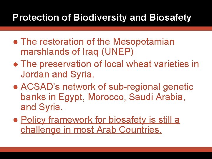 Protection of Biodiversity and Biosafety ● The restoration of the Mesopotamian marshlands of Iraq