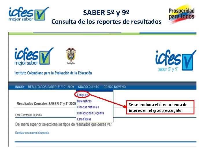 SABER 5º y 9º Consulta de los reportes de resultados Se selecciona el área