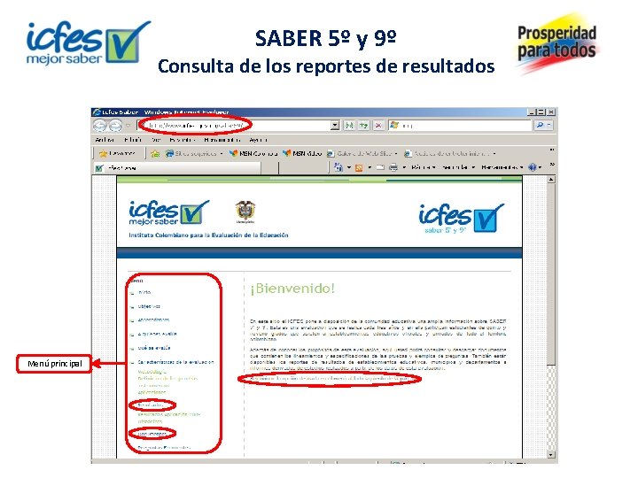 SABER 5º y 9º Consulta de los reportes de resultados Menú principal 