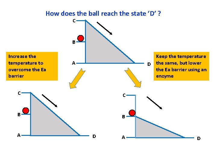 How does the ball reach the state ‘D’ ? C B Increase the temperature