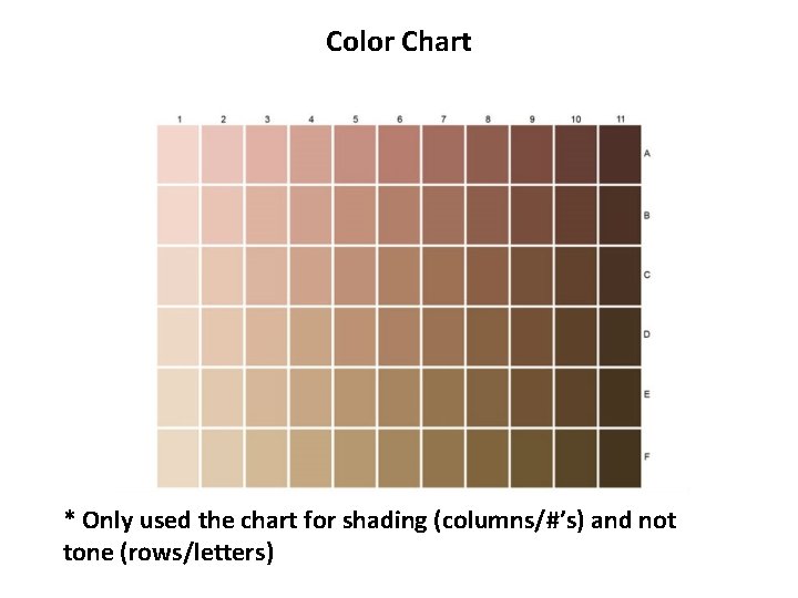 Color Chart * Only used the chart for shading (columns/#’s) and not tone (rows/letters)