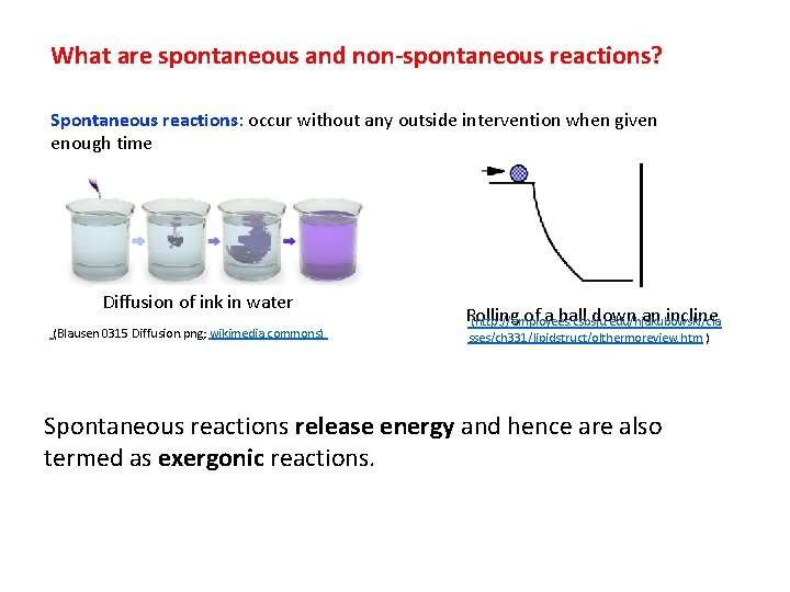 What are spontaneous and non-spontaneous reactions? Spontaneous reactions: occur without any outside intervention when