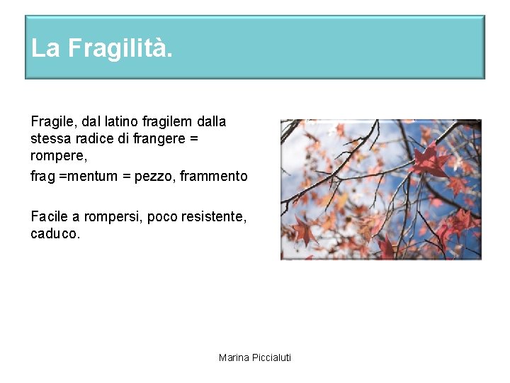 La Fragilità. Fragile, dal latino fragilem dalla stessa radice di frangere = rompere, frag