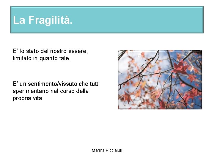 La Fragilità. E’ lo stato del nostro essere, limitato in quanto tale. E’ un
