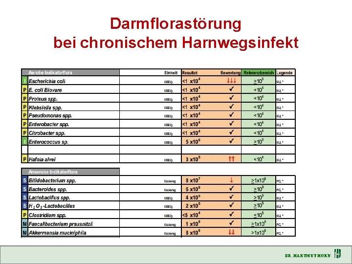 Darmflorastörung bei chronischem Harnwegsinfekt DR. HARTMUT HORN 