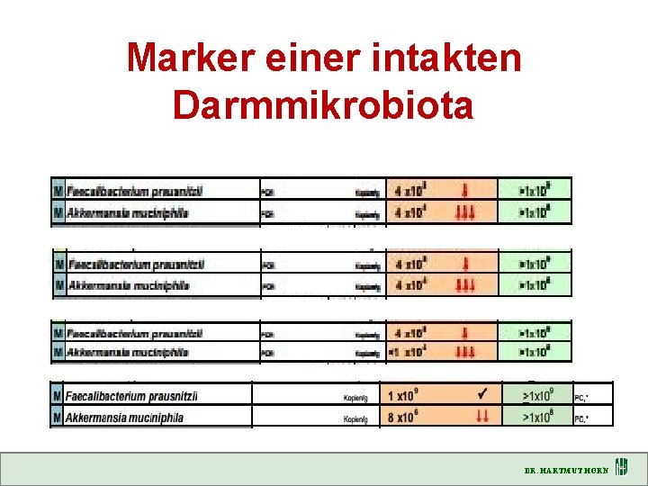 Marker einer intakten Darmmikrobiota DR. HARTMUT HORN 