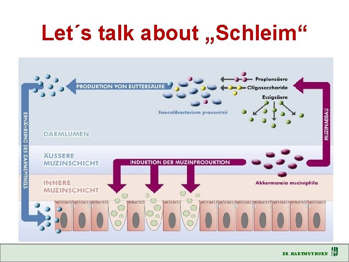 Let´s talk about „Schleim“ DR. HARTMUT HORN 