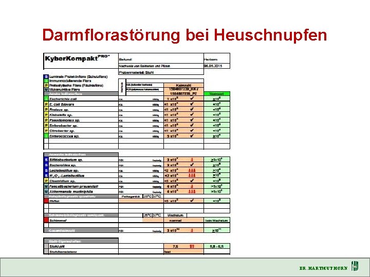 Darmflorastörung bei Heuschnupfen DR. HARTMUT HORN 