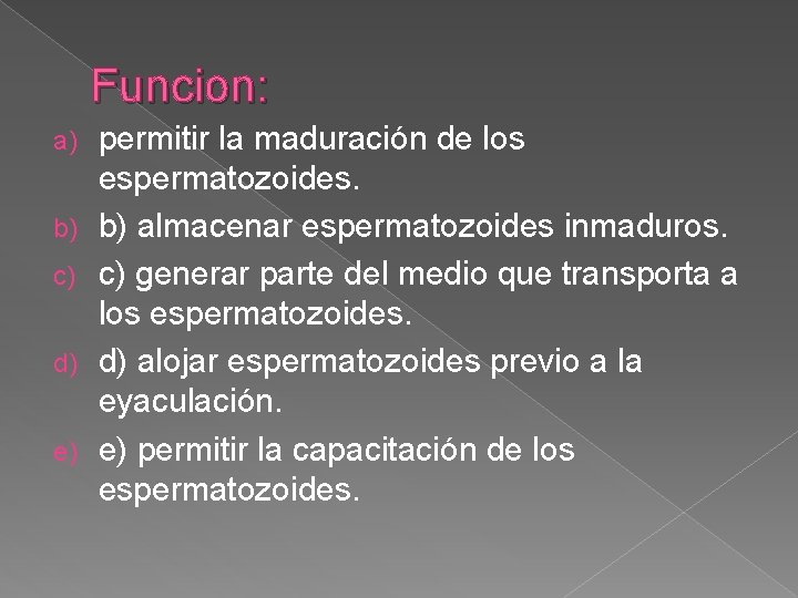 Funcion: a) b) c) d) e) permitir la maduración de los espermatozoides. b) almacenar