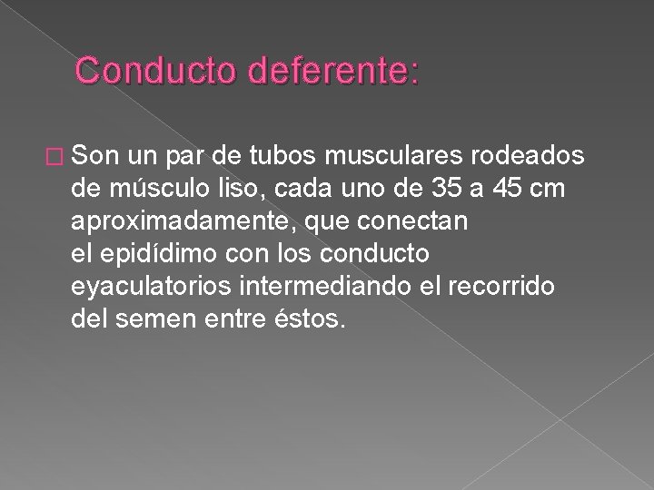 Conducto deferente: � Son un par de tubos musculares rodeados de músculo liso, cada